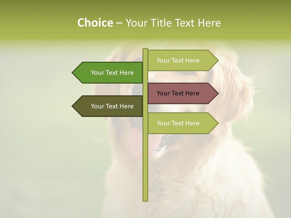 Facial Purebred Day PowerPoint Template