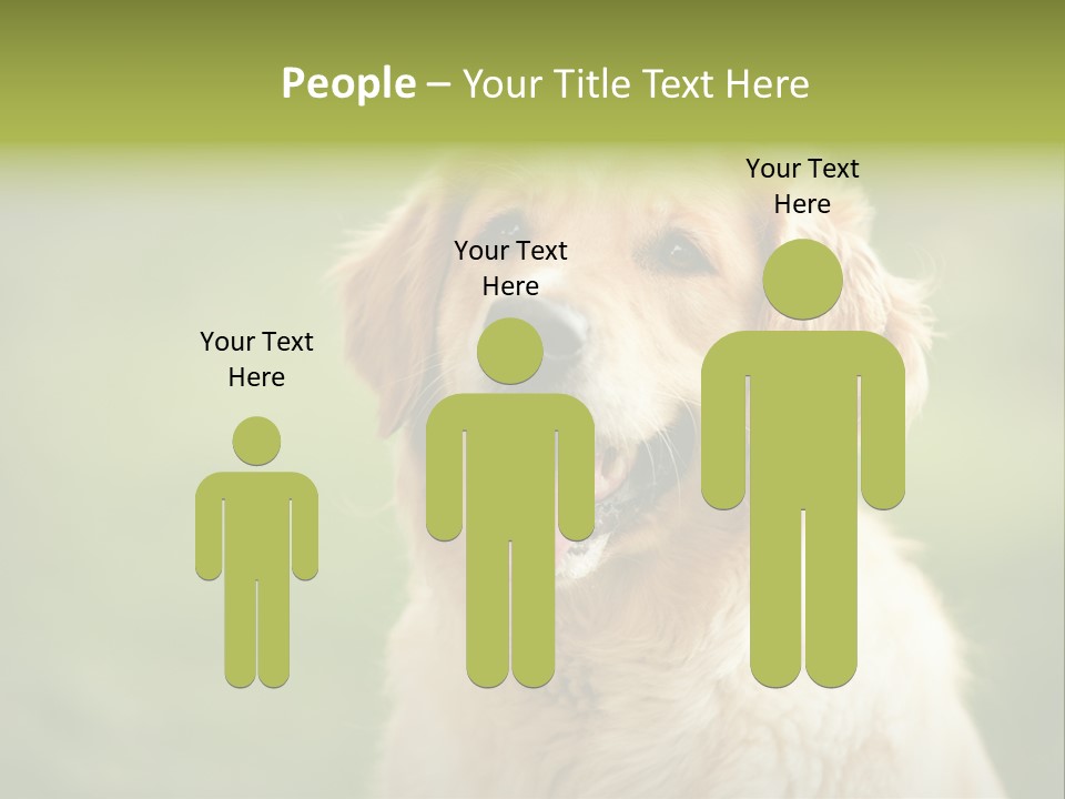 Facial Purebred Day PowerPoint Template