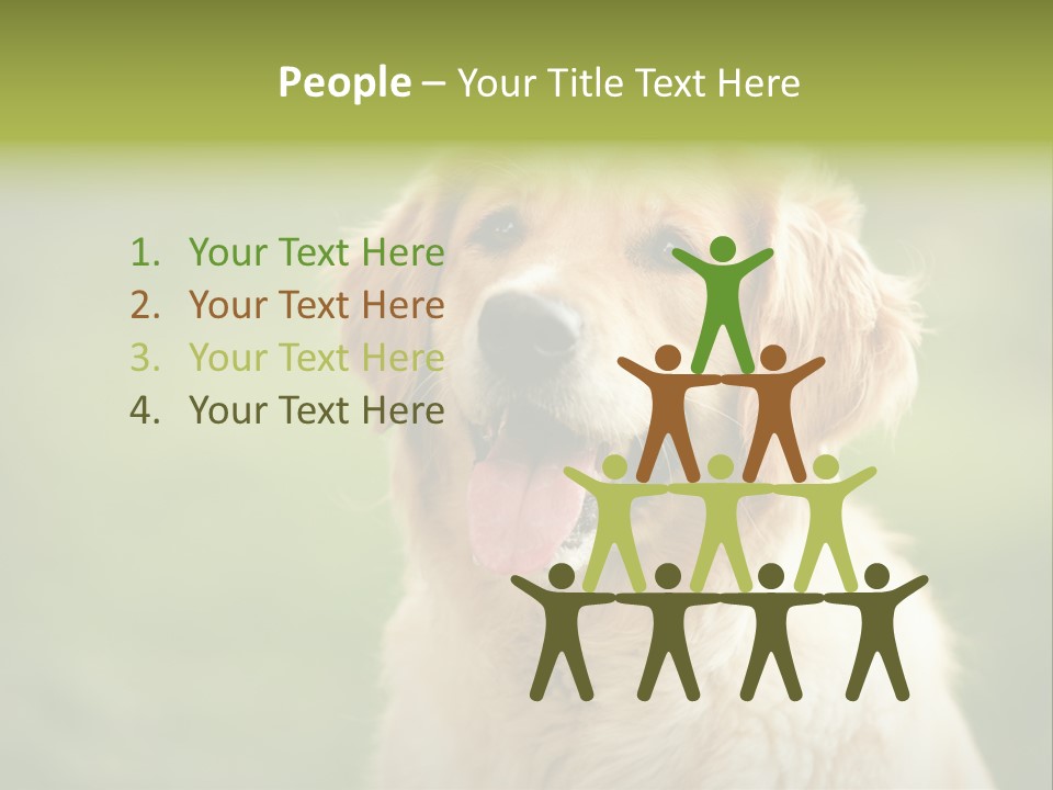 Facial Purebred Day PowerPoint Template