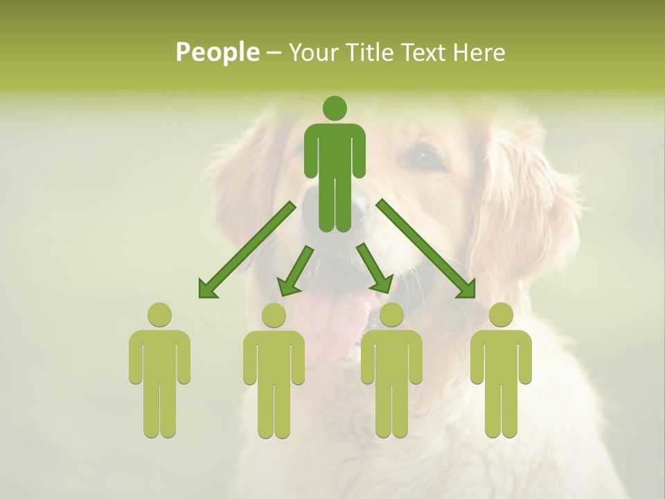 Facial Purebred Day PowerPoint Template