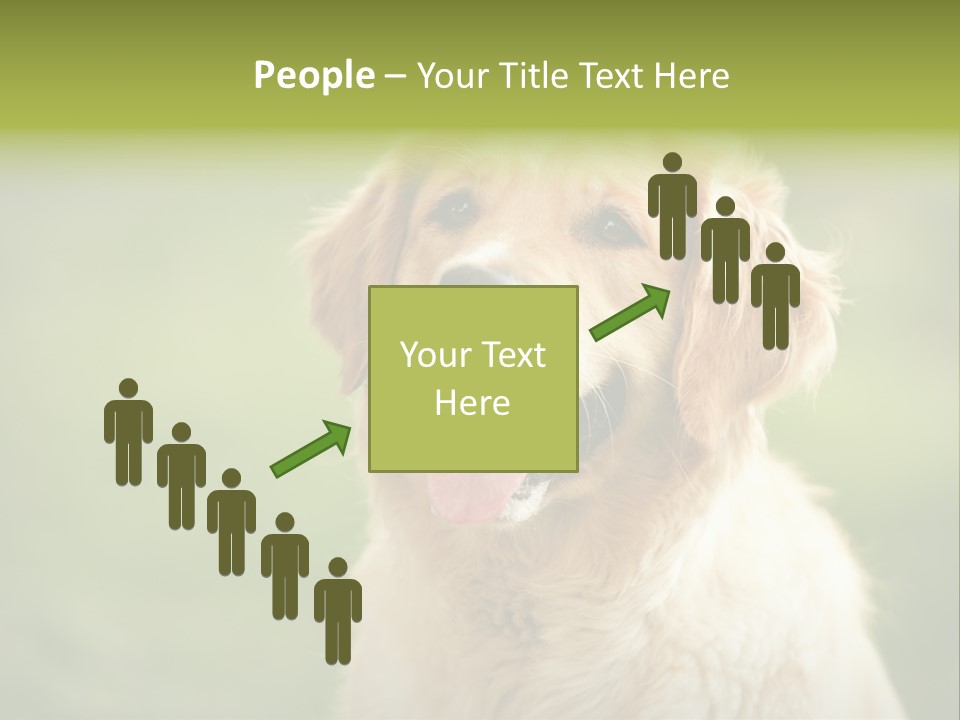 Facial Purebred Day PowerPoint Template