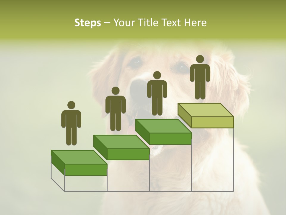 Facial Purebred Day PowerPoint Template