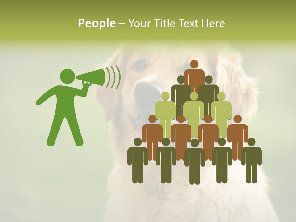 Facial Purebred Day PowerPoint Template