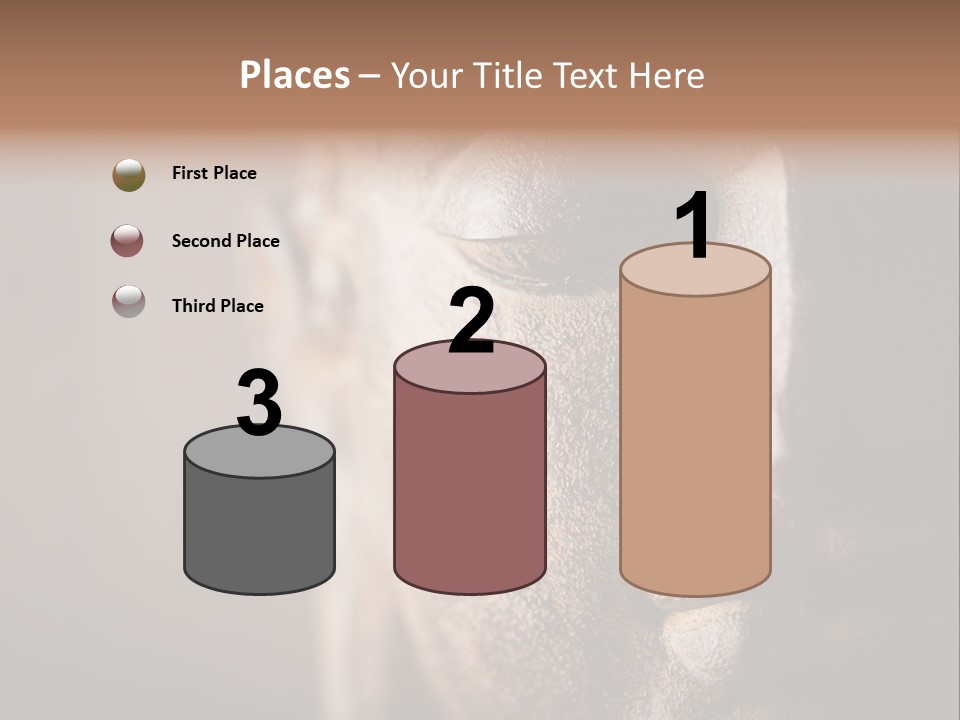 Religious Thailand Spirituality PowerPoint Template