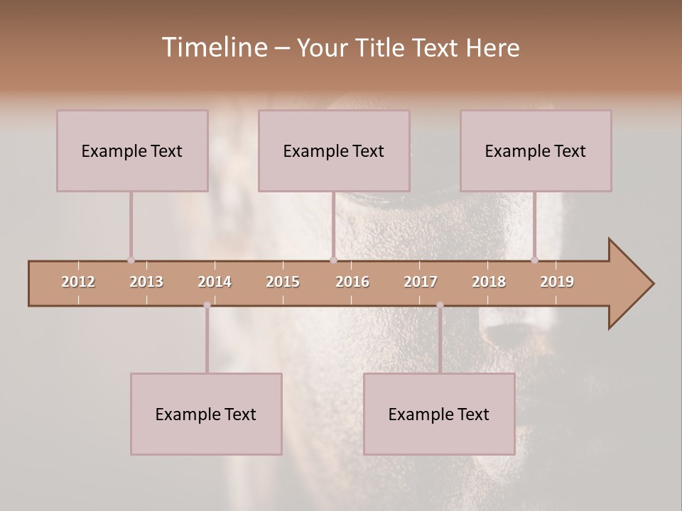 Religious Thailand Spirituality PowerPoint Template