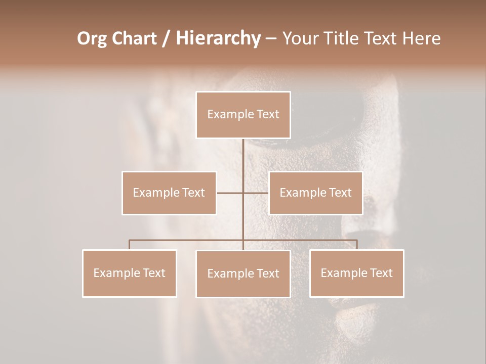Religious Thailand Spirituality PowerPoint Template