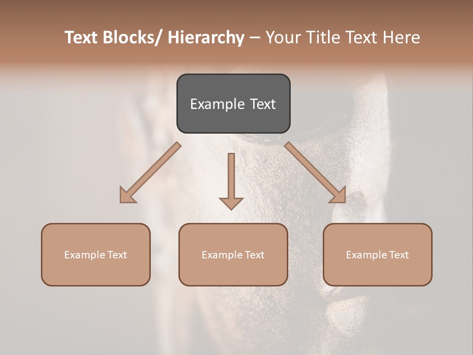 Religious Thailand Spirituality PowerPoint Template