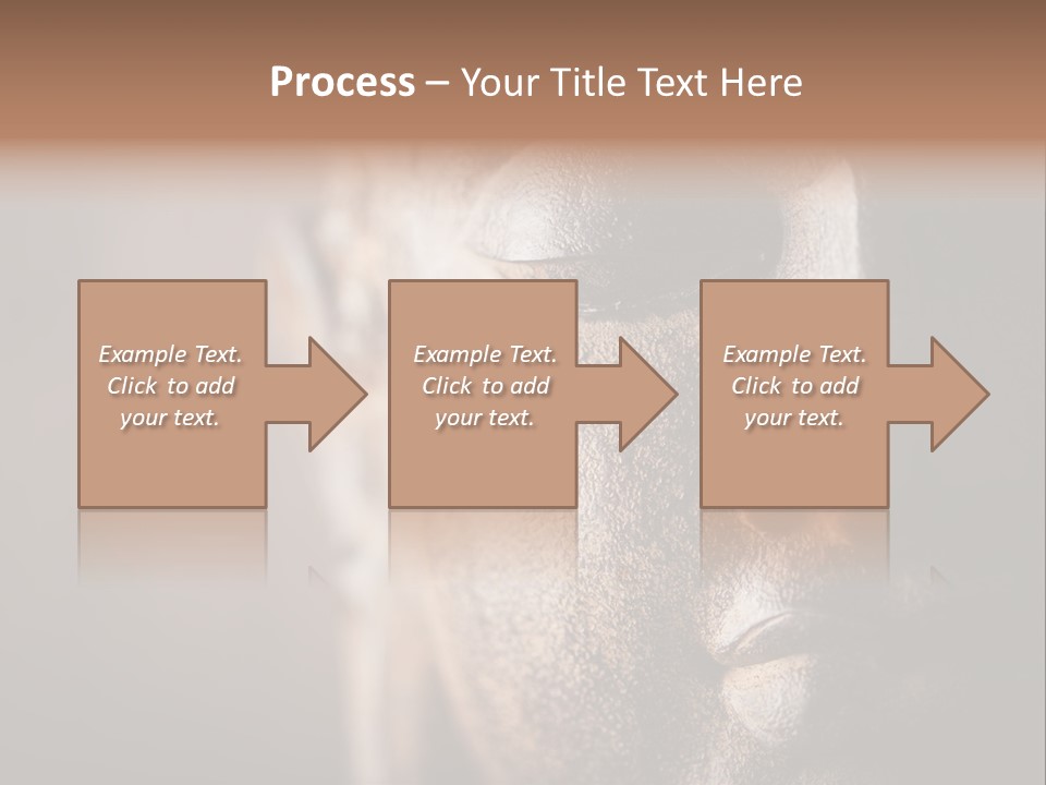Religious Thailand Spirituality PowerPoint Template