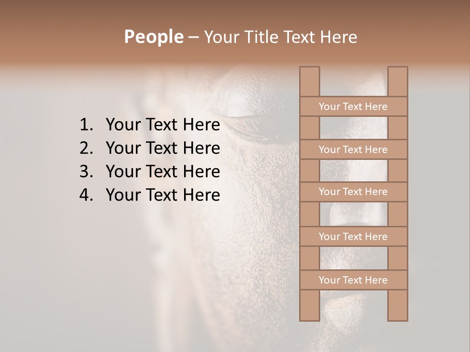 Religious Thailand Spirituality PowerPoint Template