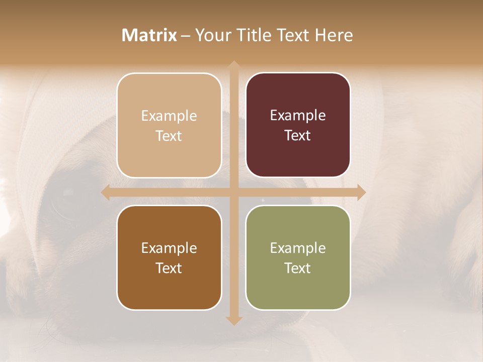 Ill Fawn Health PowerPoint Template