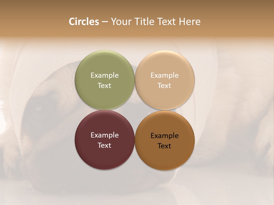 Ill Fawn Health PowerPoint Template