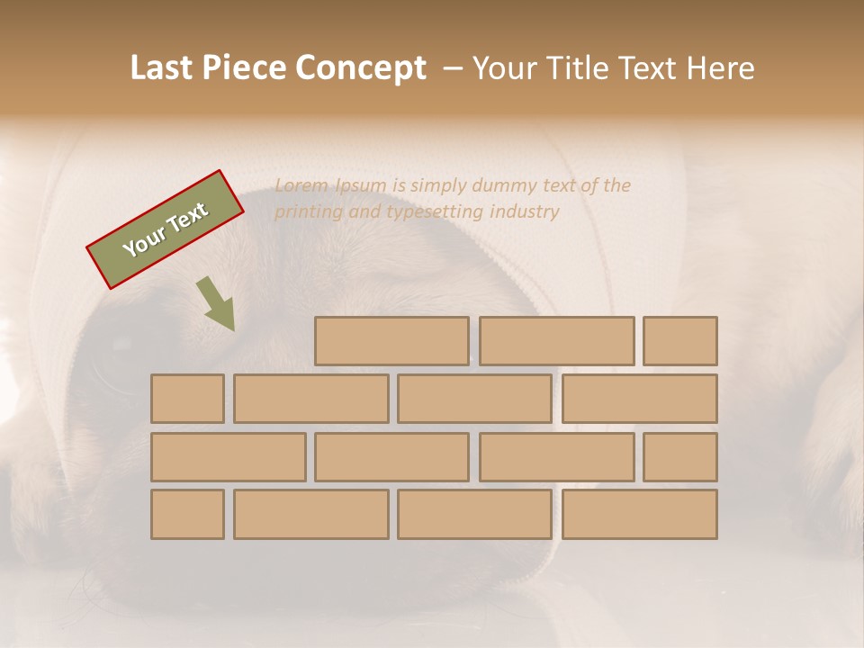 Ill Fawn Health PowerPoint Template