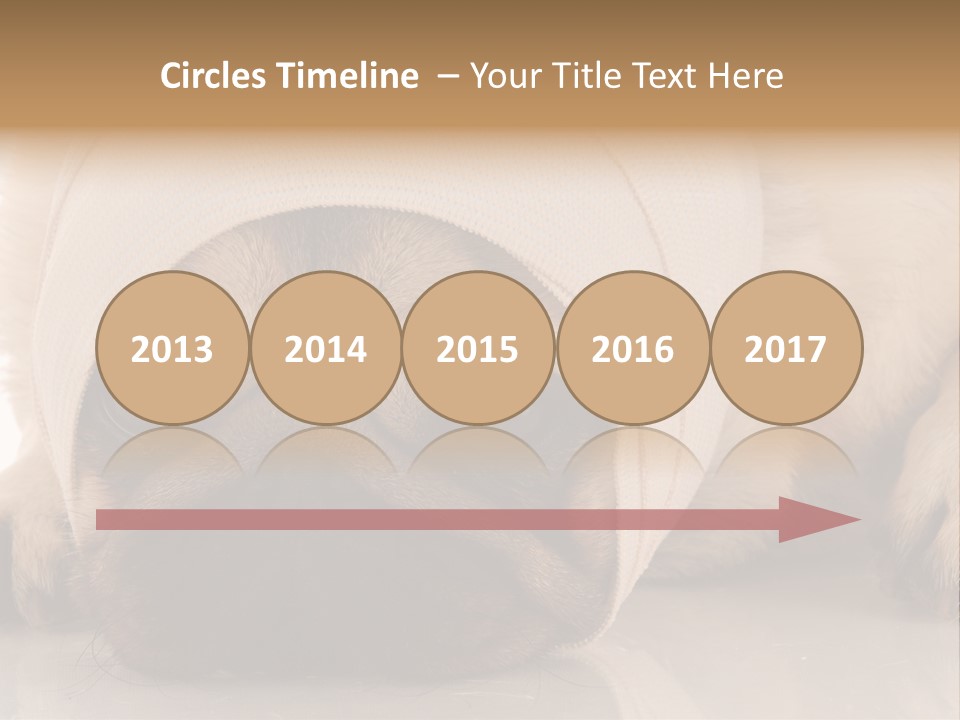 Ill Fawn Health PowerPoint Template