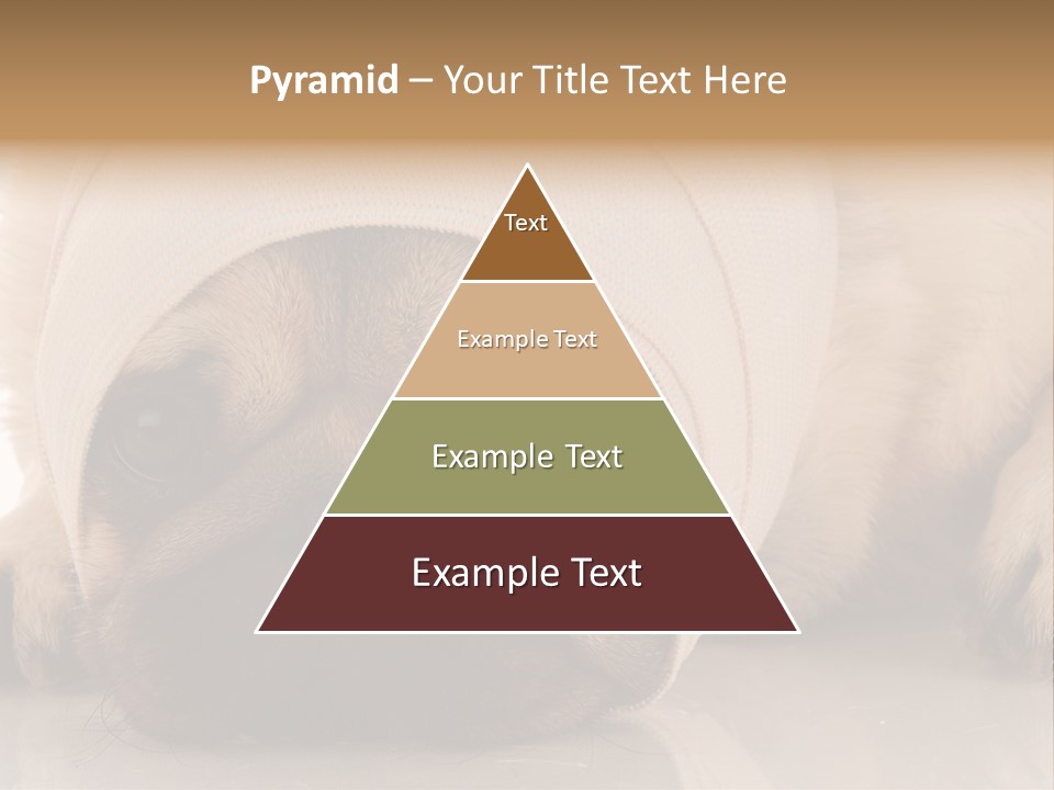 Ill Fawn Health PowerPoint Template