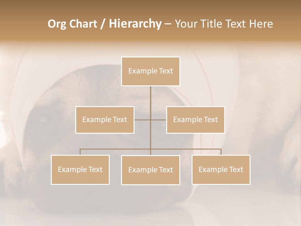 Ill Fawn Health PowerPoint Template