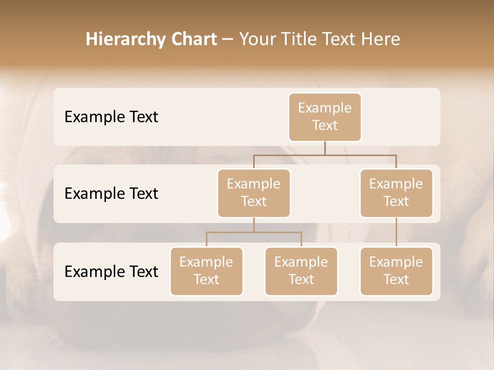 Ill Fawn Health PowerPoint Template