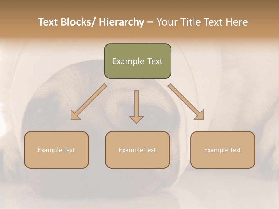 Ill Fawn Health PowerPoint Template