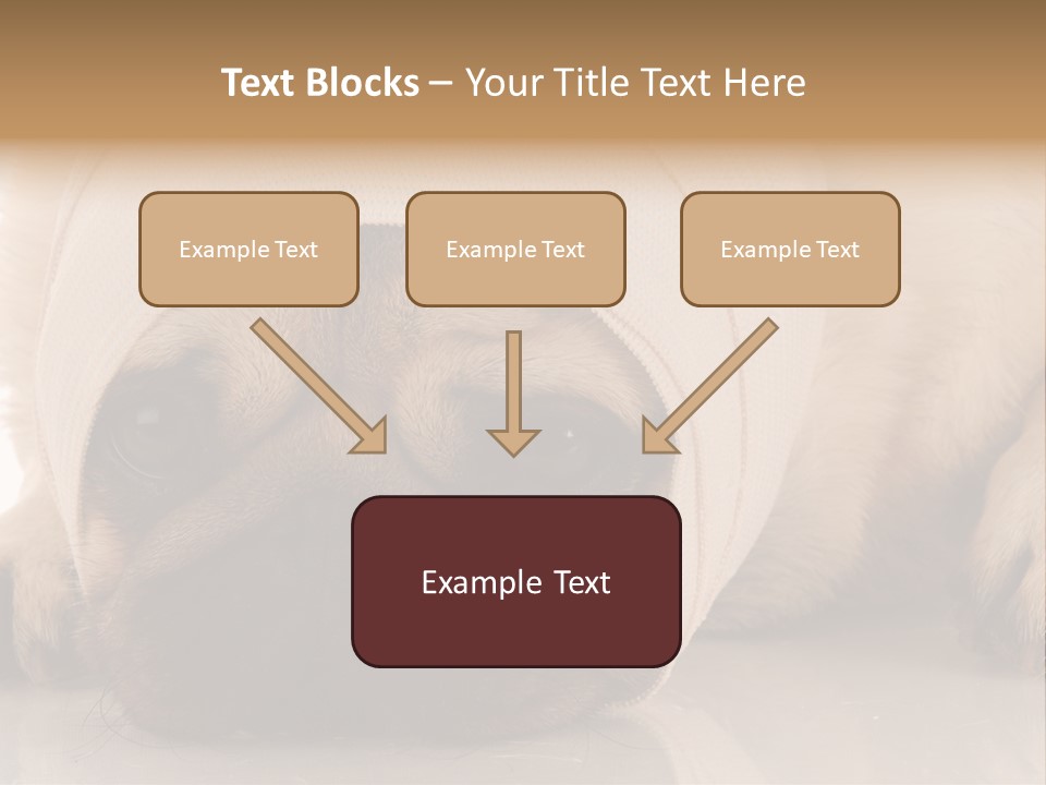 Ill Fawn Health PowerPoint Template