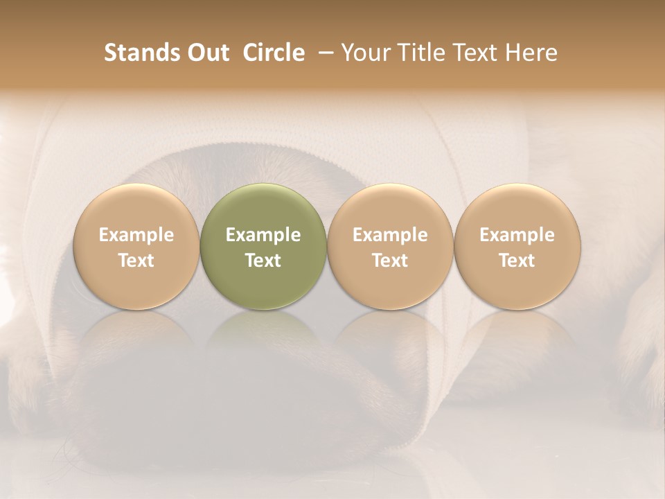 Ill Fawn Health PowerPoint Template