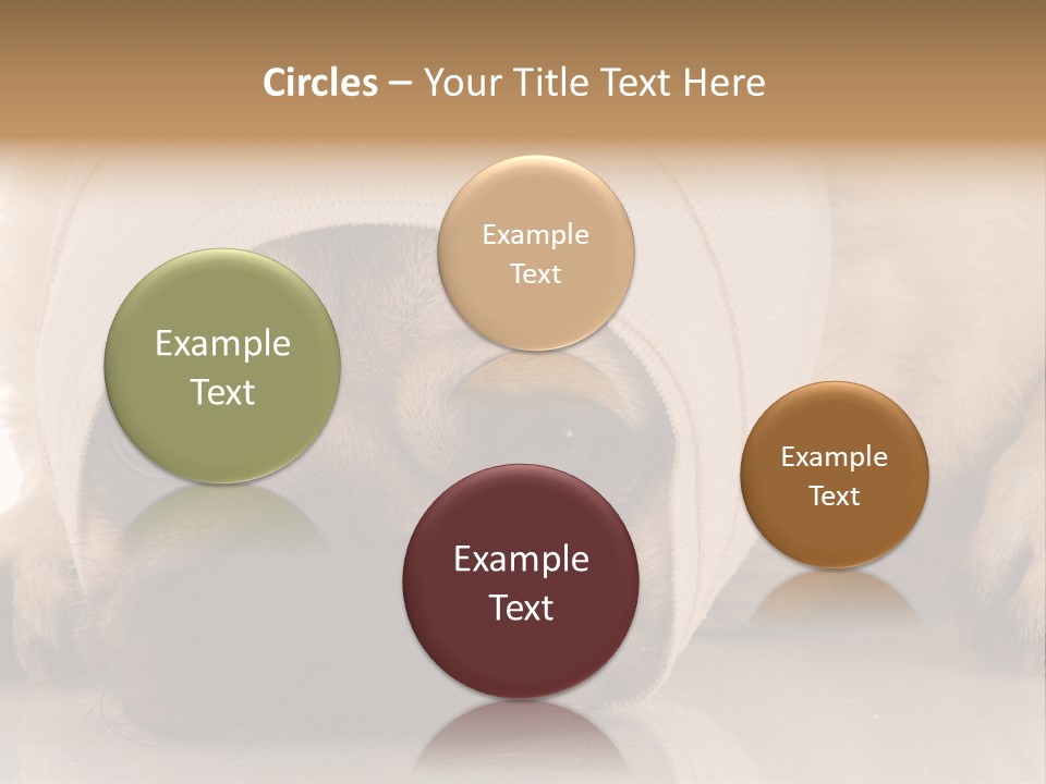 Ill Fawn Health PowerPoint Template