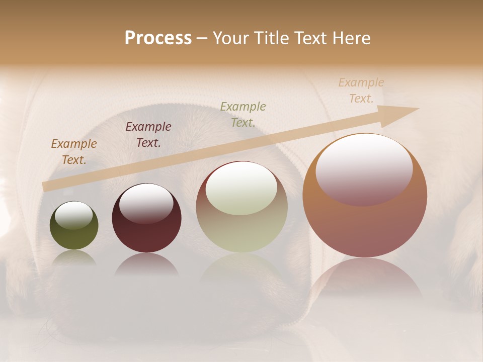 Ill Fawn Health PowerPoint Template