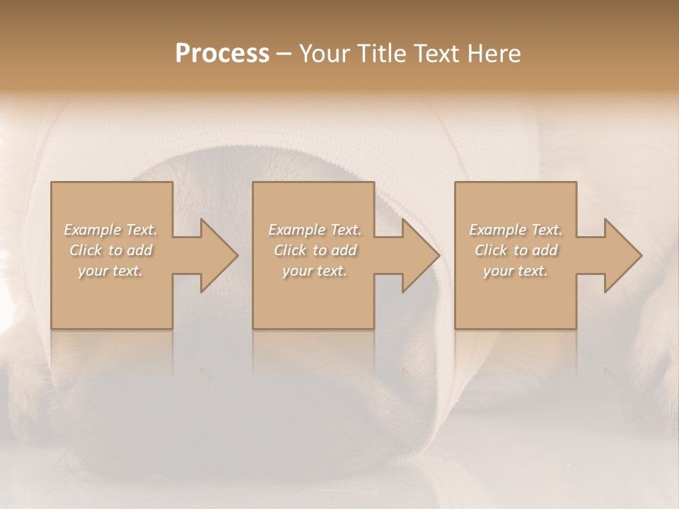 Ill Fawn Health PowerPoint Template