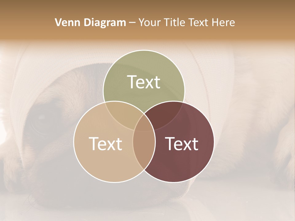 Ill Fawn Health PowerPoint Template