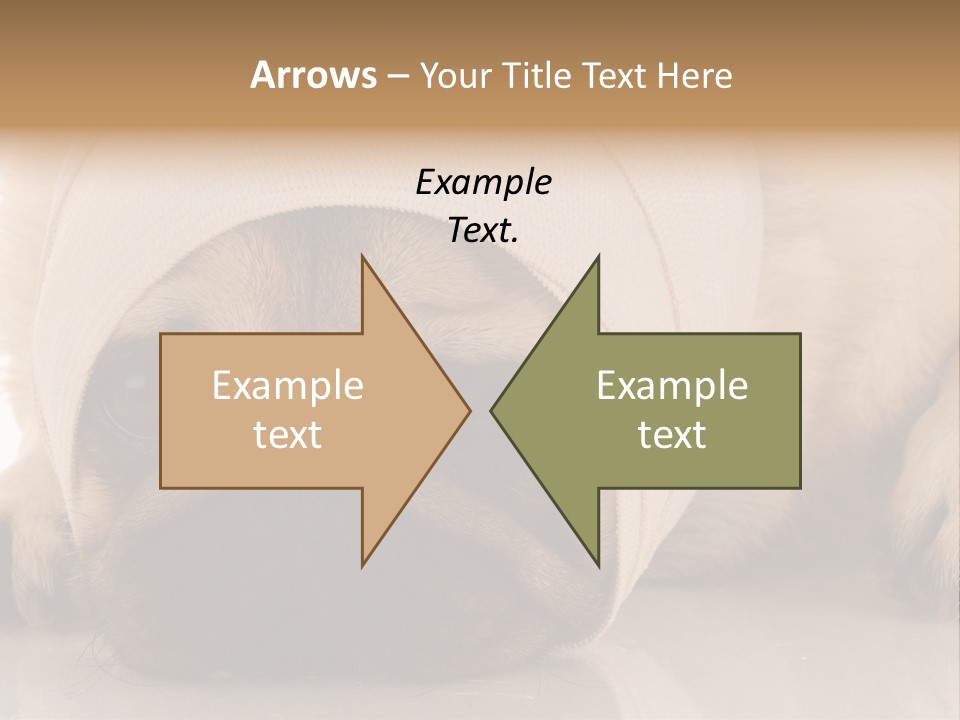 Ill Fawn Health PowerPoint Template