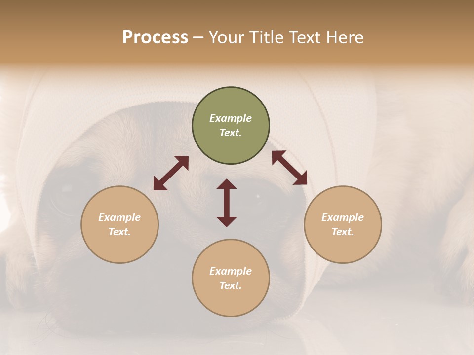 Ill Fawn Health PowerPoint Template