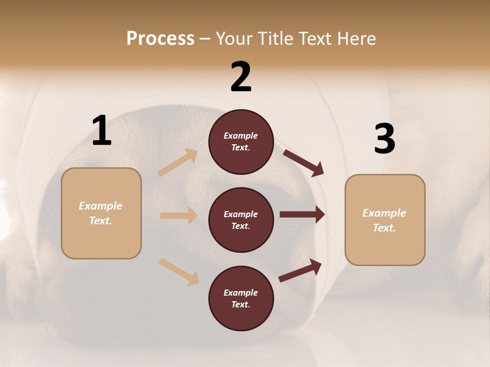 Ill Fawn Health PowerPoint Template