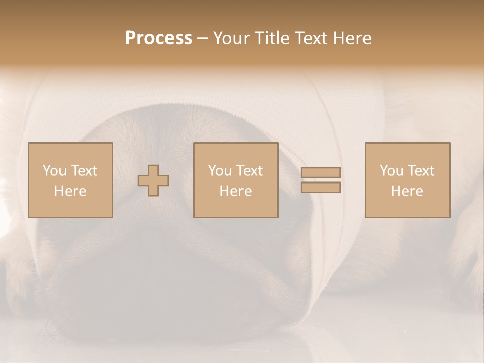 Ill Fawn Health PowerPoint Template