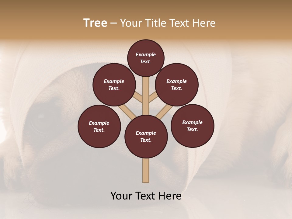 Ill Fawn Health PowerPoint Template