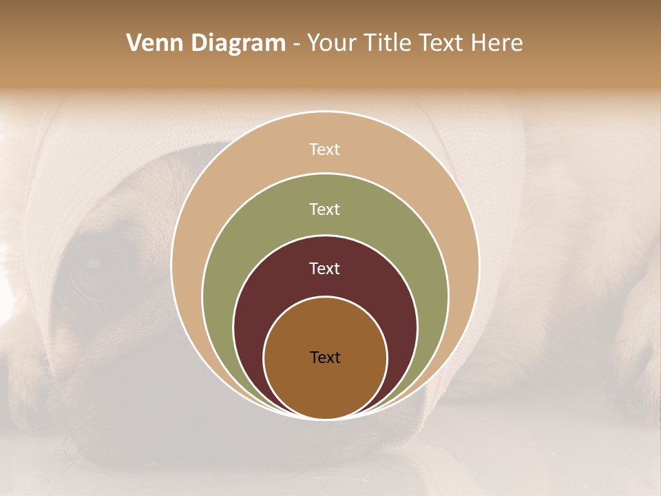 Ill Fawn Health PowerPoint Template