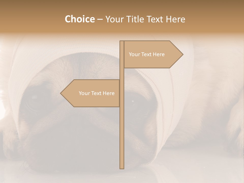 Ill Fawn Health PowerPoint Template