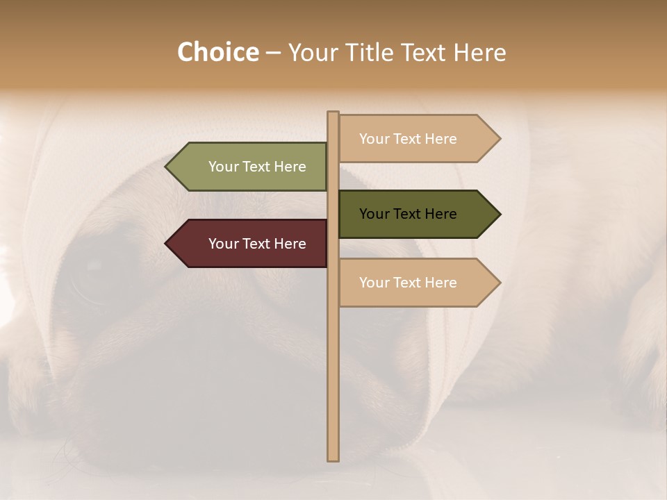 Ill Fawn Health PowerPoint Template