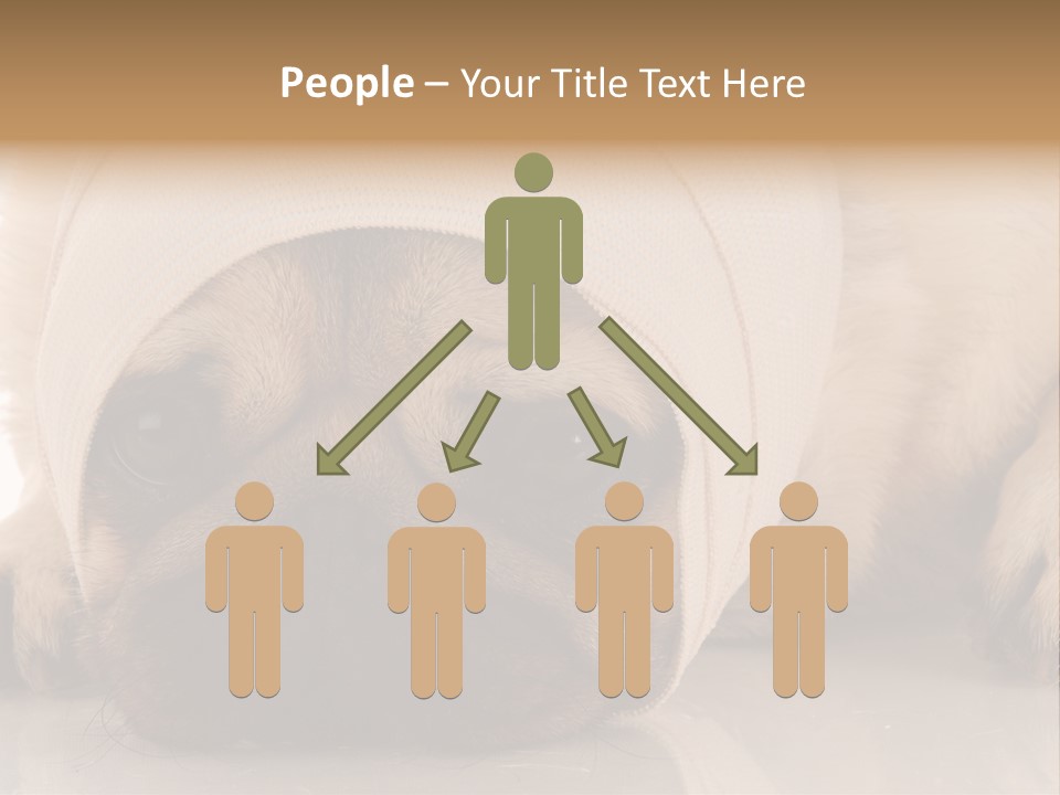 Ill Fawn Health PowerPoint Template