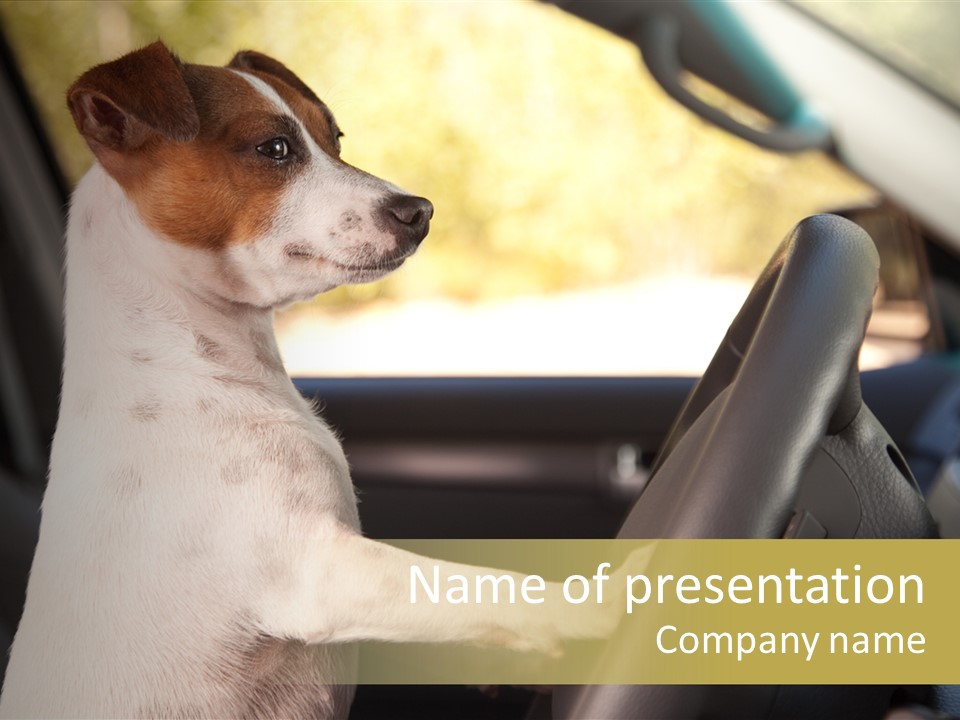 Jack Standing Terrier PowerPoint Template