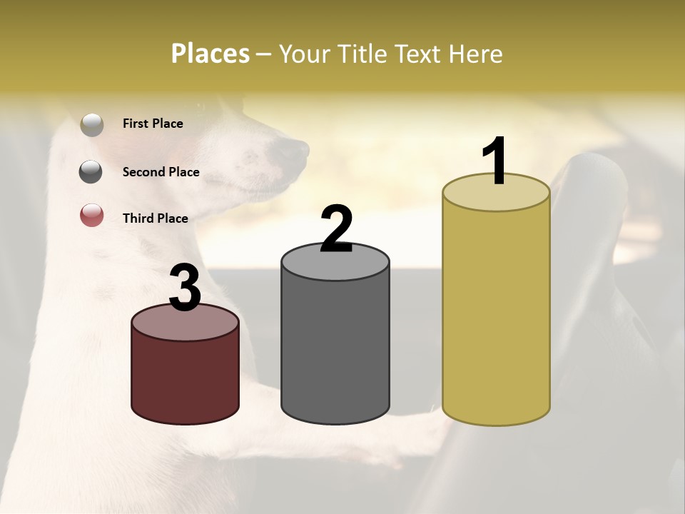 Jack Standing Terrier PowerPoint Template