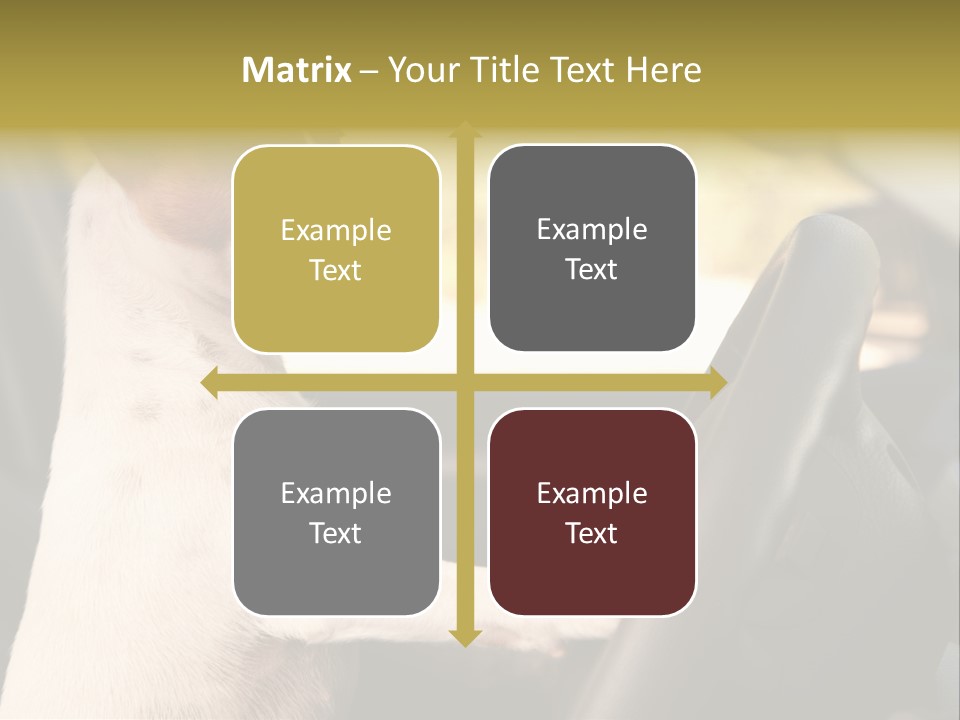 Jack Standing Terrier PowerPoint Template