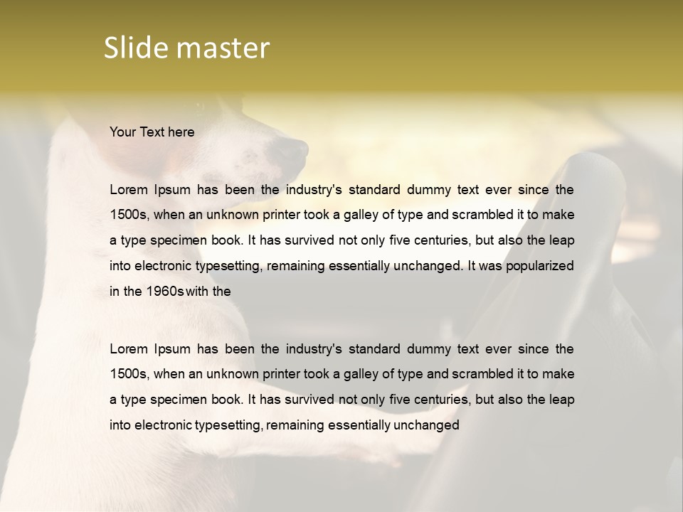 Jack Standing Terrier PowerPoint Template