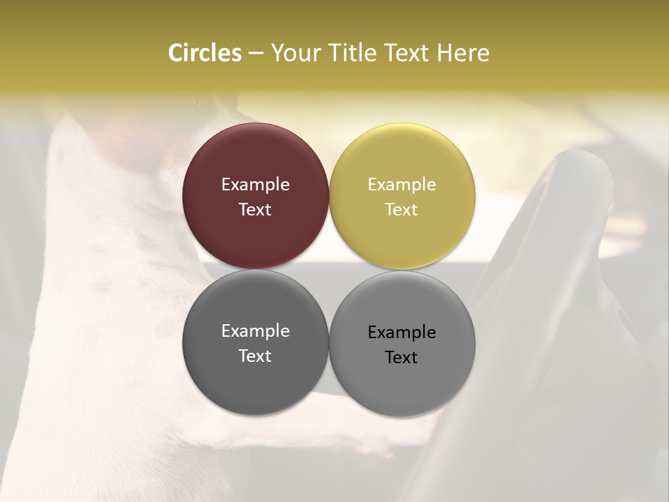 Jack Standing Terrier PowerPoint Template