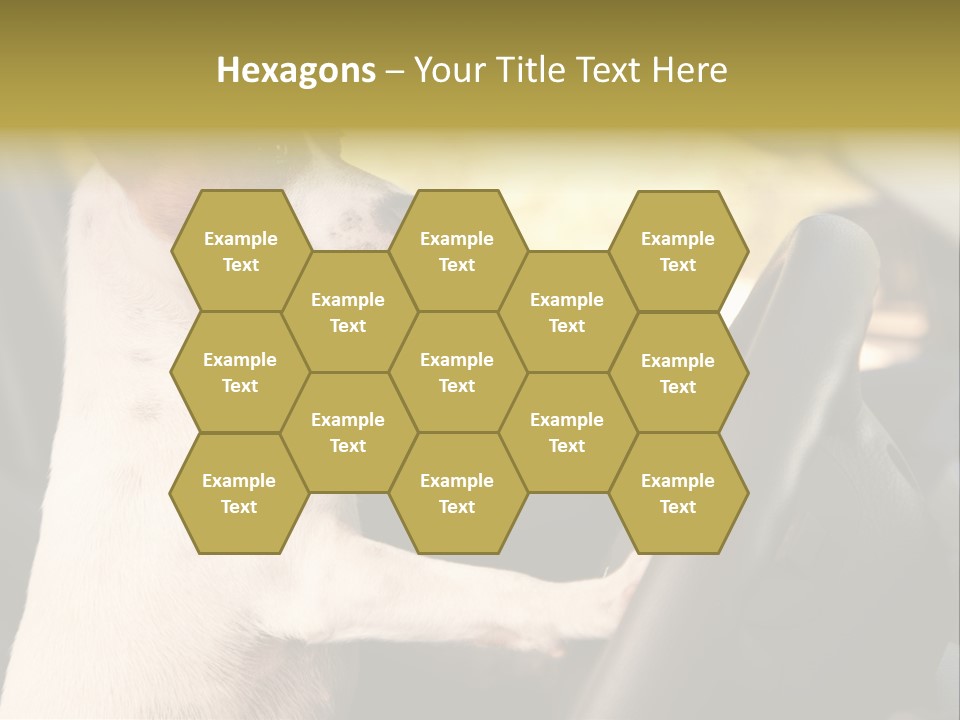 Jack Standing Terrier PowerPoint Template