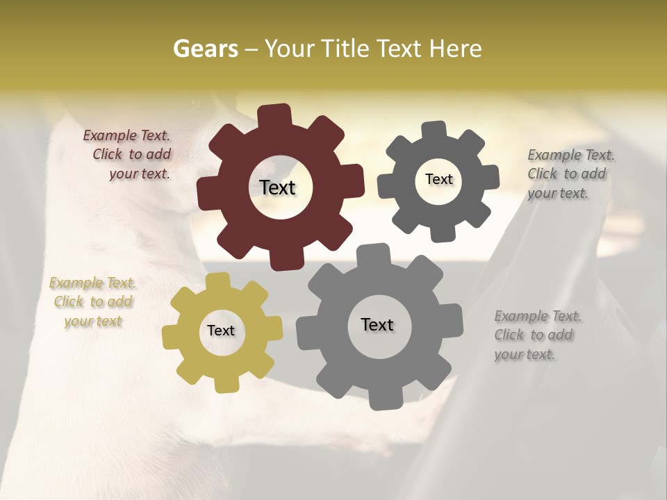 Jack Standing Terrier PowerPoint Template