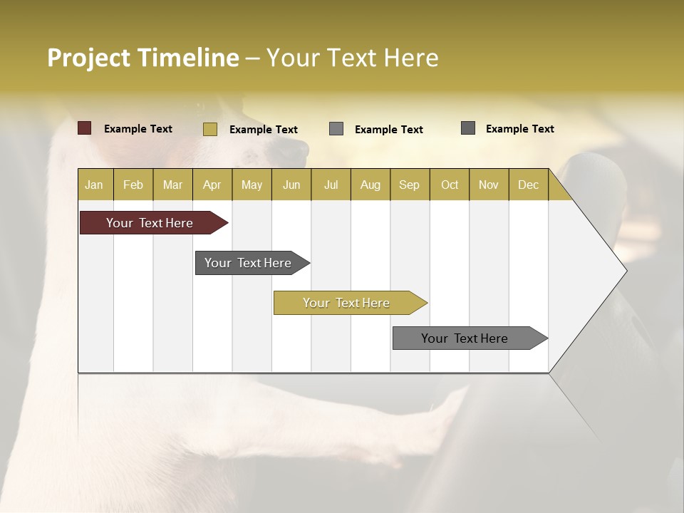Jack Standing Terrier PowerPoint Template