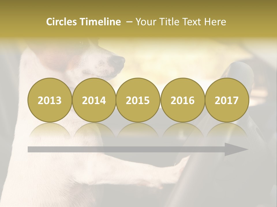 Jack Standing Terrier PowerPoint Template