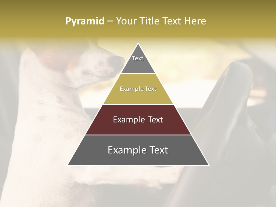 Jack Standing Terrier PowerPoint Template