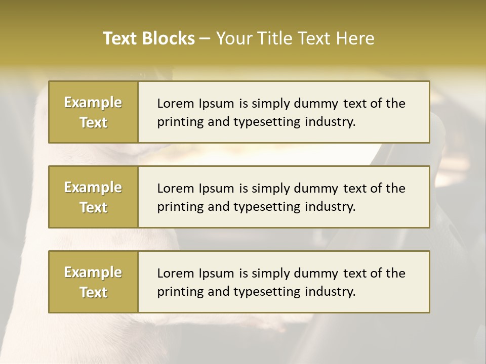 Jack Standing Terrier PowerPoint Template