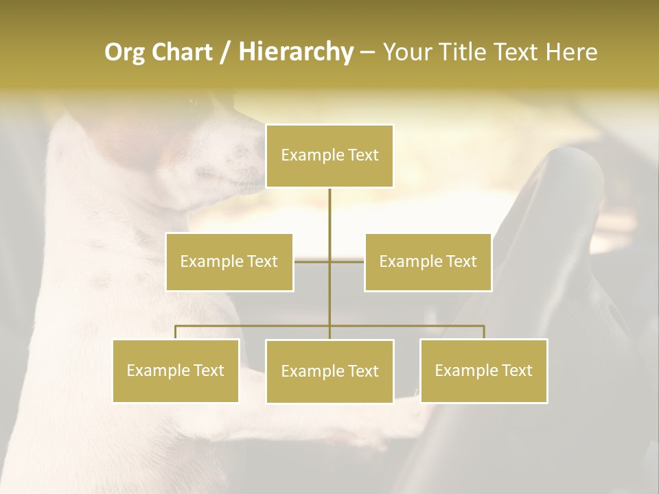 Jack Standing Terrier PowerPoint Template