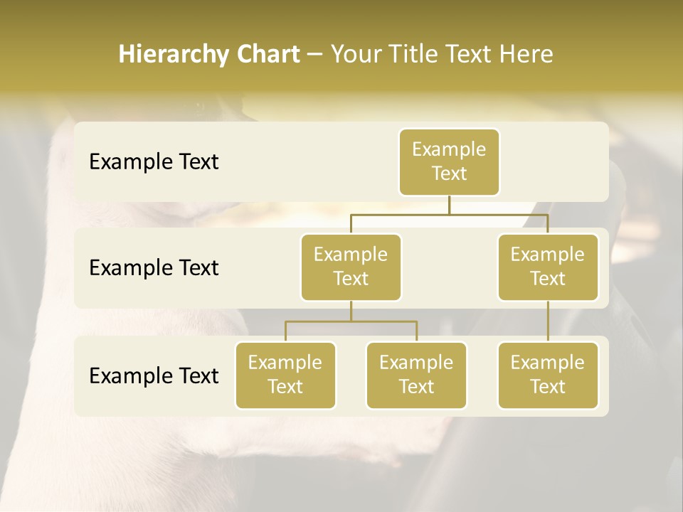 Jack Standing Terrier PowerPoint Template