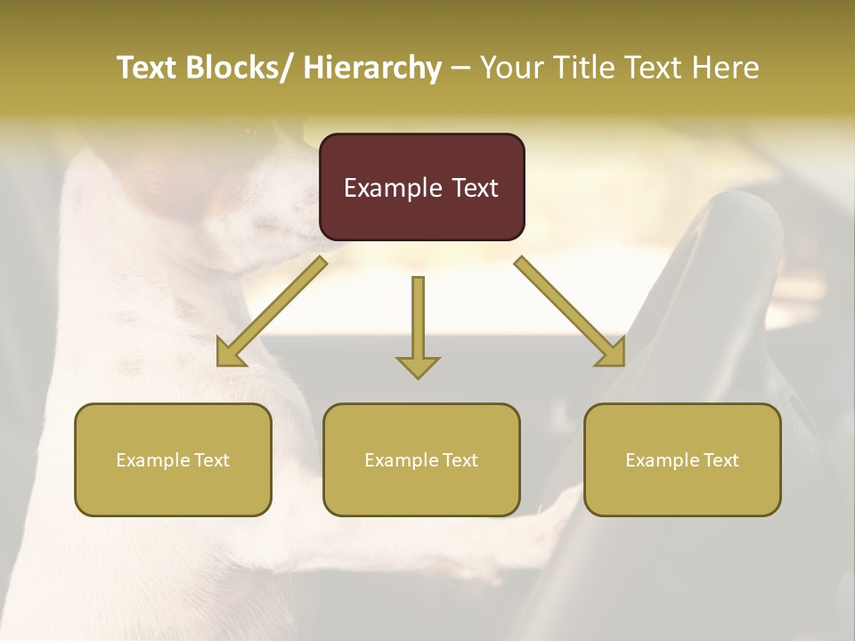Jack Standing Terrier PowerPoint Template